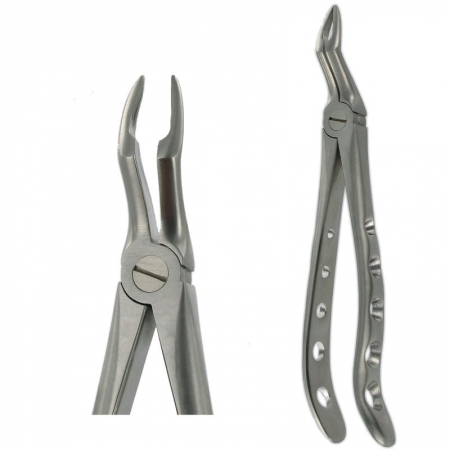 American Pattern Forceps