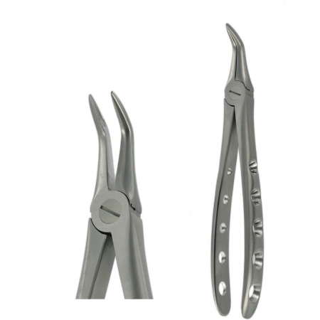 American Pattern Forceps