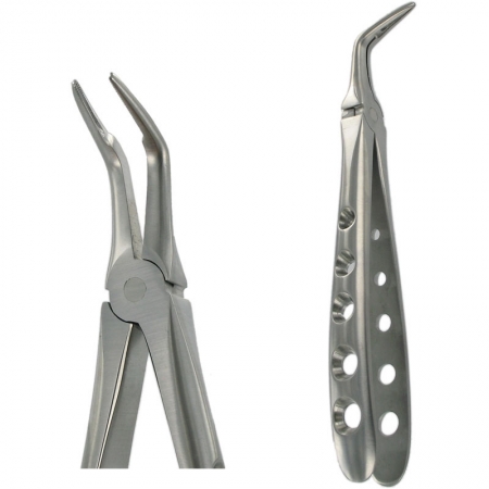 American Pattern Forceps