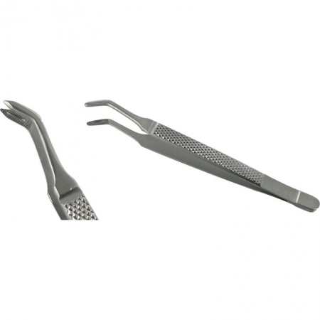 American Pattern Forceps