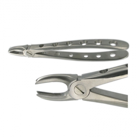 ENGLISH FORCEPS 168 UPPER CANINE