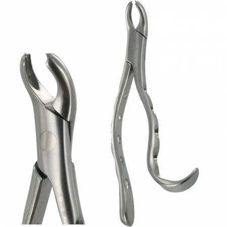 American Pattern Forceps