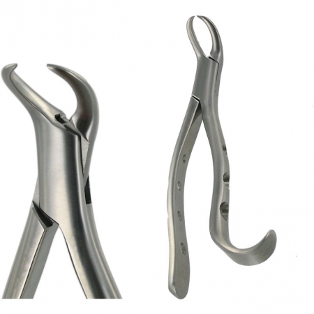 American Pattern Forceps