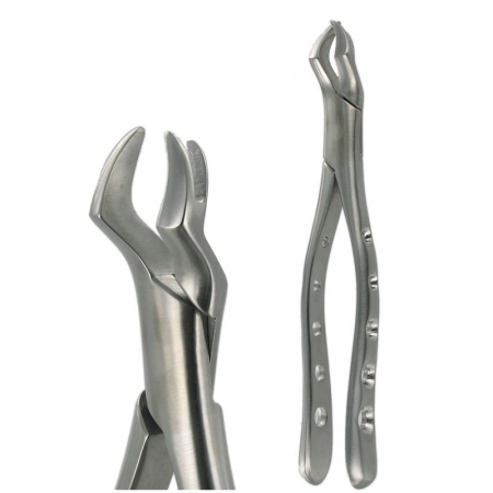 American Pattern Forceps