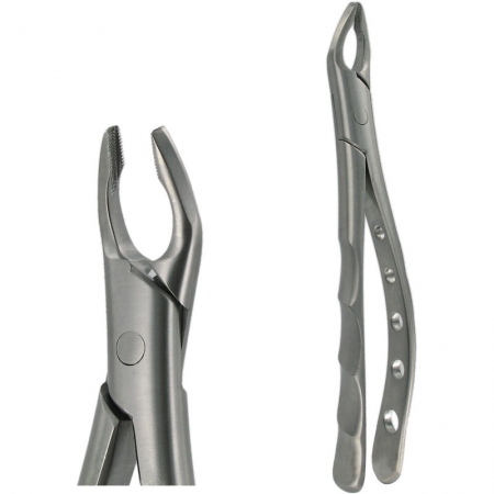 American Pattern Forceps