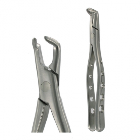 American Pattern Forceps