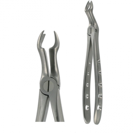 American Pattern Forceps