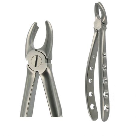 American Pattern Forceps