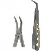 American Pattern Forceps