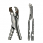 American Pattern Forceps