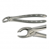 ENGLISH FORCEPS 21 LOWER MOLAR