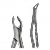 American Pattern Forceps